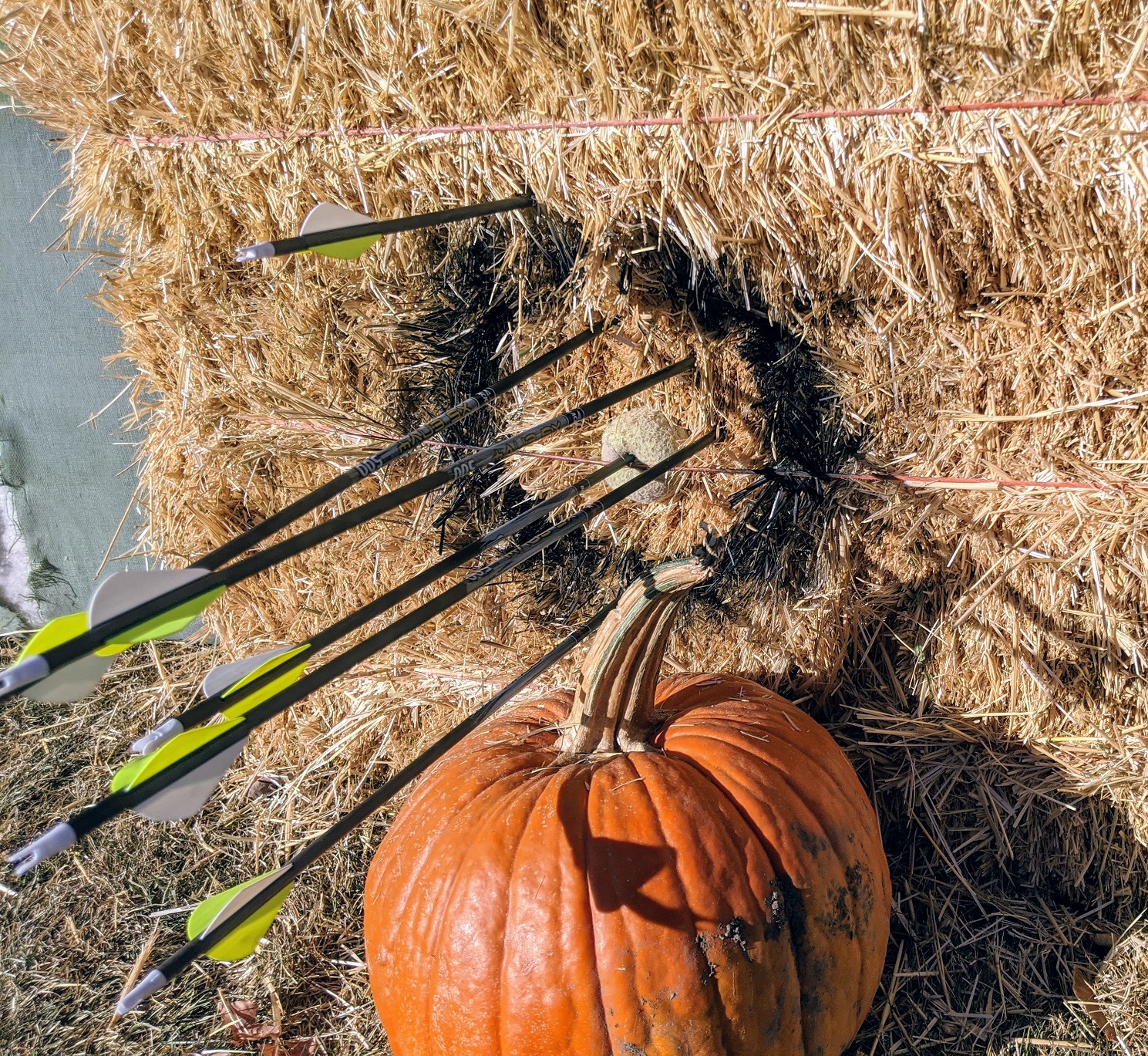 Archery is the Embodiment of Process Improvement | Process for the People